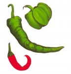 hot pepper